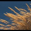 20091003_094_raw